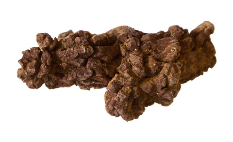 Coprolite: Fossilized Prehistoric Poop – Well Done Goods, by Cyberoptix