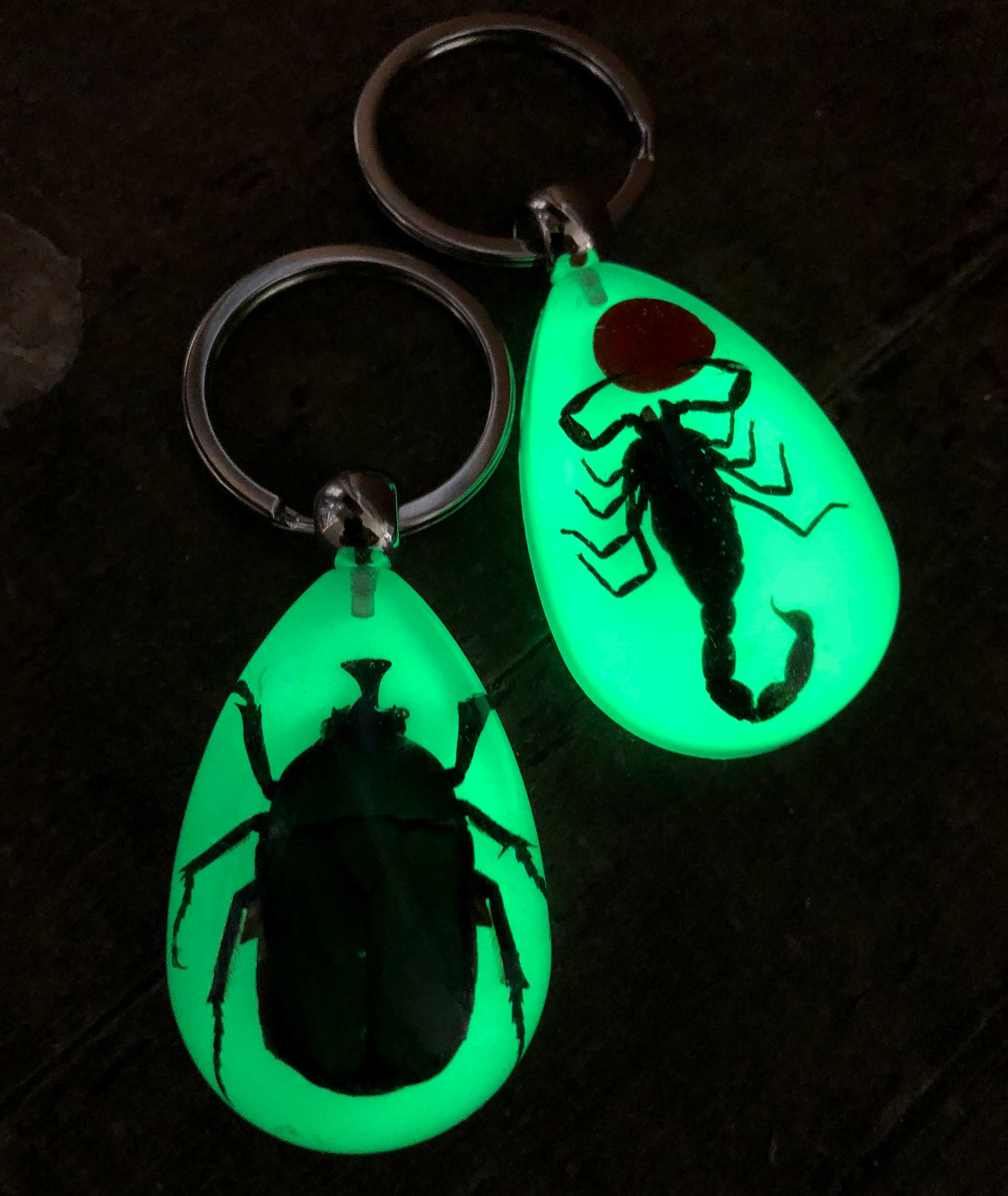 Lucite Insect Keychain, Beetle or Scorpion. Glow in the Dark!