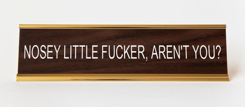 Nosey Little Fucker Aren T You Engraved Office Desk Plaque