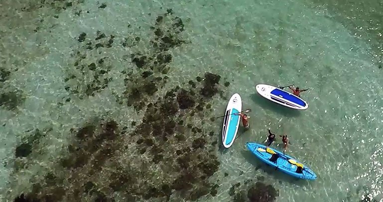 Aerial view of paddling group