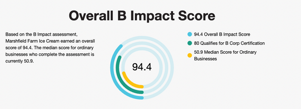 B Corp Assessment Results