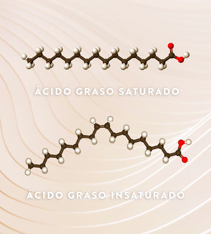 acido-graso-saturado-insaturado-diferencias.jpg