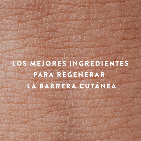 los mejores ingredientes para recuperar la función barrera de la piel