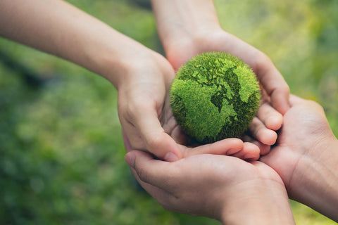 Dos pares de manos sosteniendo cuidadosamente una planta verde con forma de Tierra, simbolizando el concepto de ecofriendly