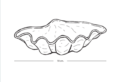 shell mold