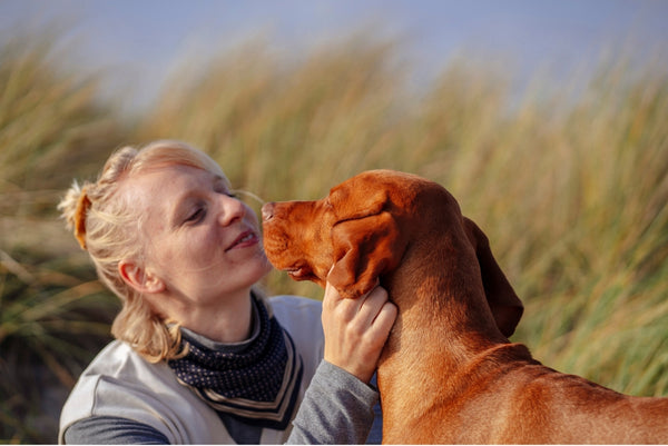 Hund und Mensch Beziehung