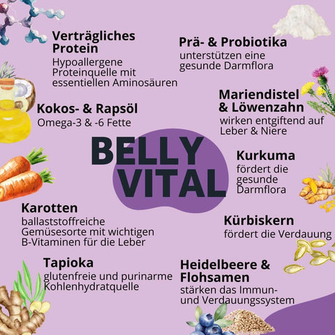 Ingredients for healthy intestinal flora, for example in cases of pancreatitis