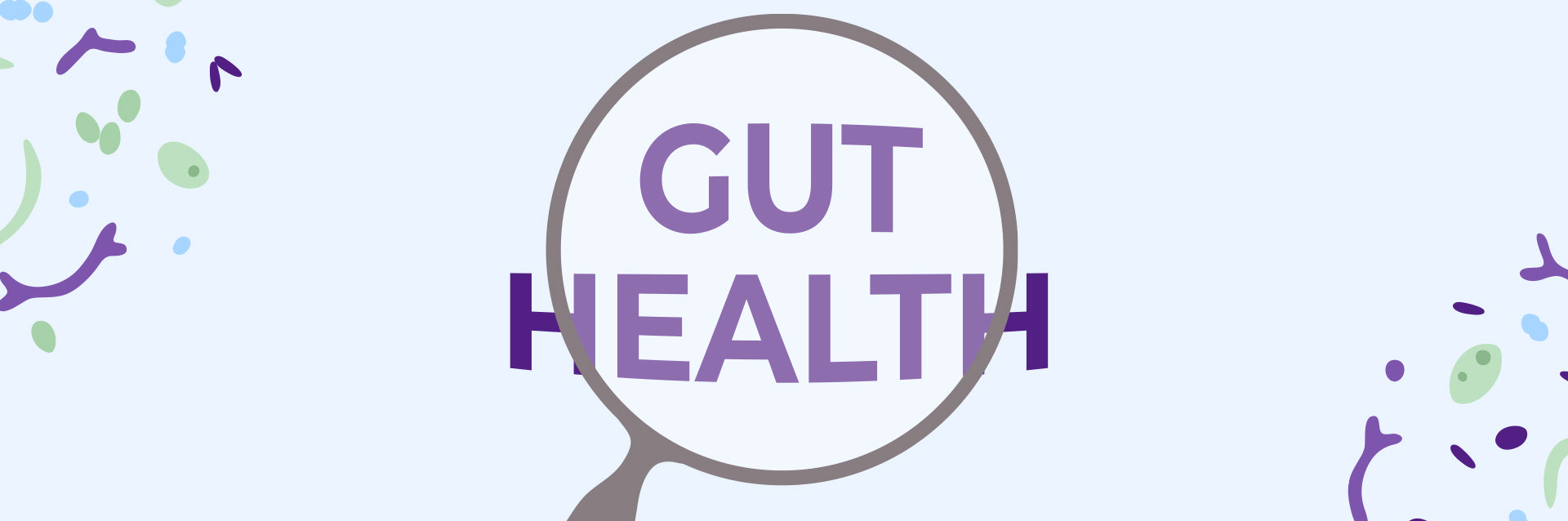 What Is Gut Health