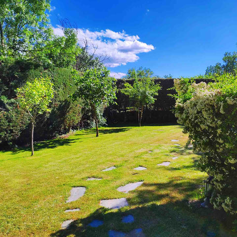 Allée en ardoise du jardin Bello