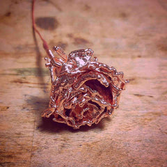 Electroformed Rose - Sophie's in Jupiter