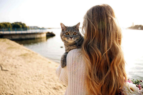 Girl holding gray cat near the ocean