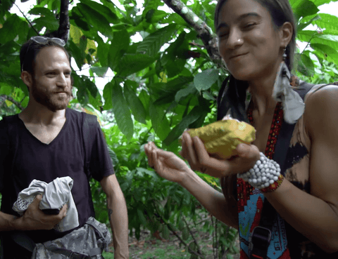 Man and woman eating cacao on a cacao farm