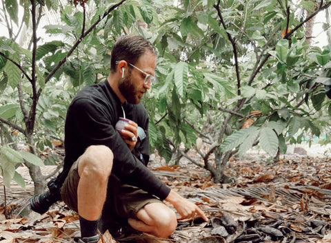 Man inspecting the ground on a Cacao farm