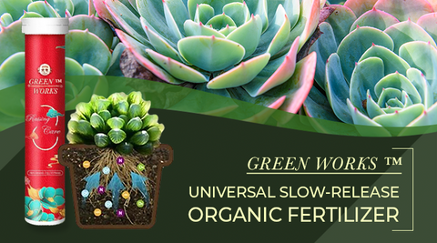 Greenworks™ Universal Slow-Release Organic Fertilizer