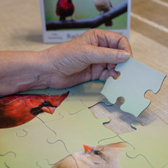 How to pick a puzzle for someone with dementia?