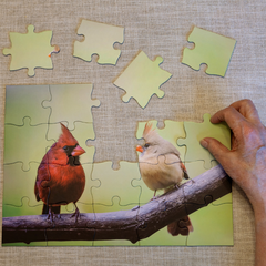 easy alzheimers puzzles