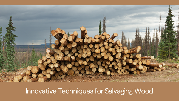 Innovative Techniques for Salvaging Wood