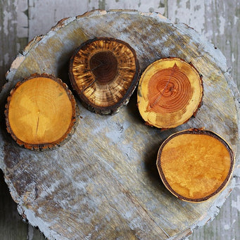 Variety Pack of Round Wood Coasters with Resin & Bark – Set of 4