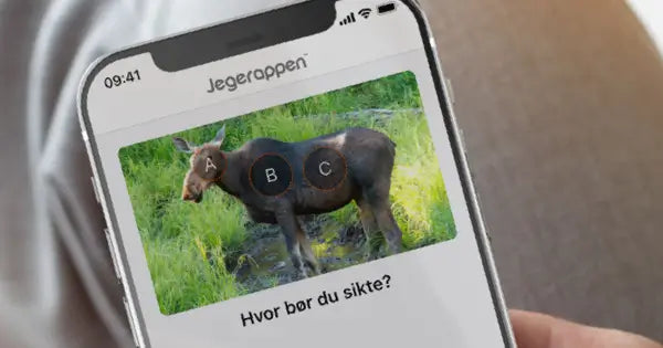 Vitalt treffområde - oppgave fra Jegerappen