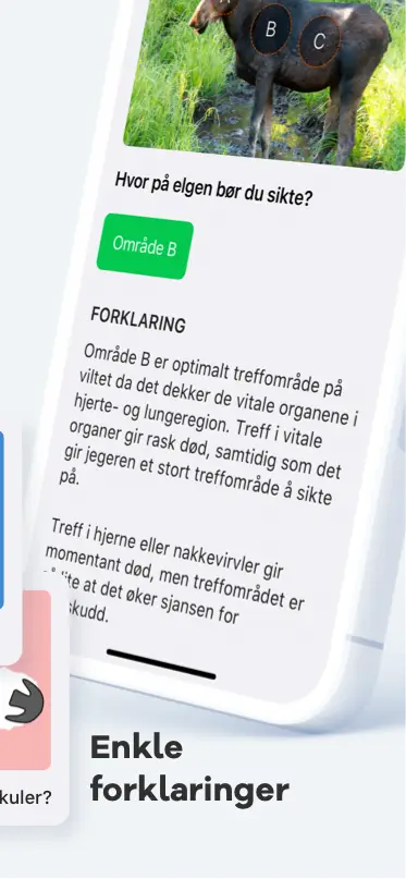 Forklaring på oppgave fra Jegerappen