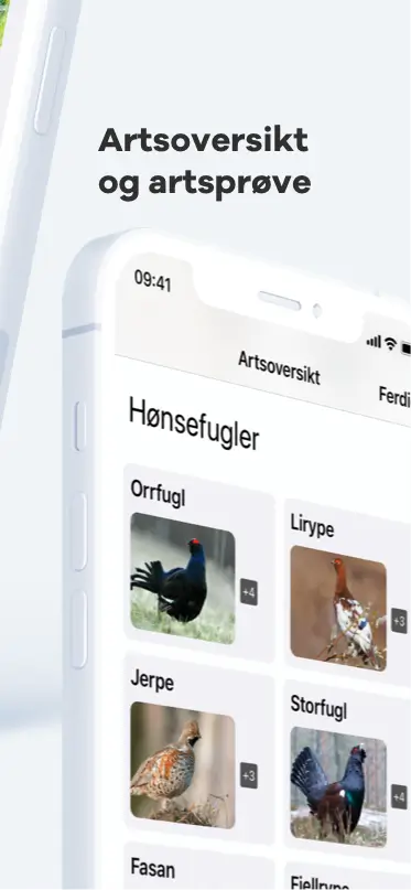 Artsoversikt og artsprøve i Jegerappen