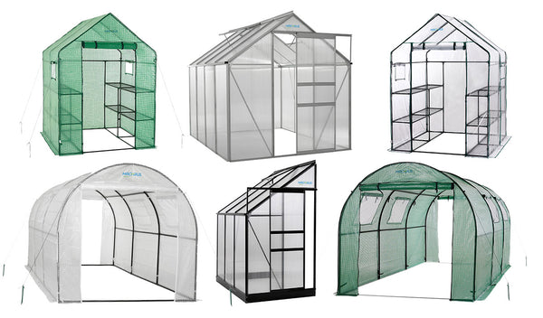 maintain and care for my greenhouse
