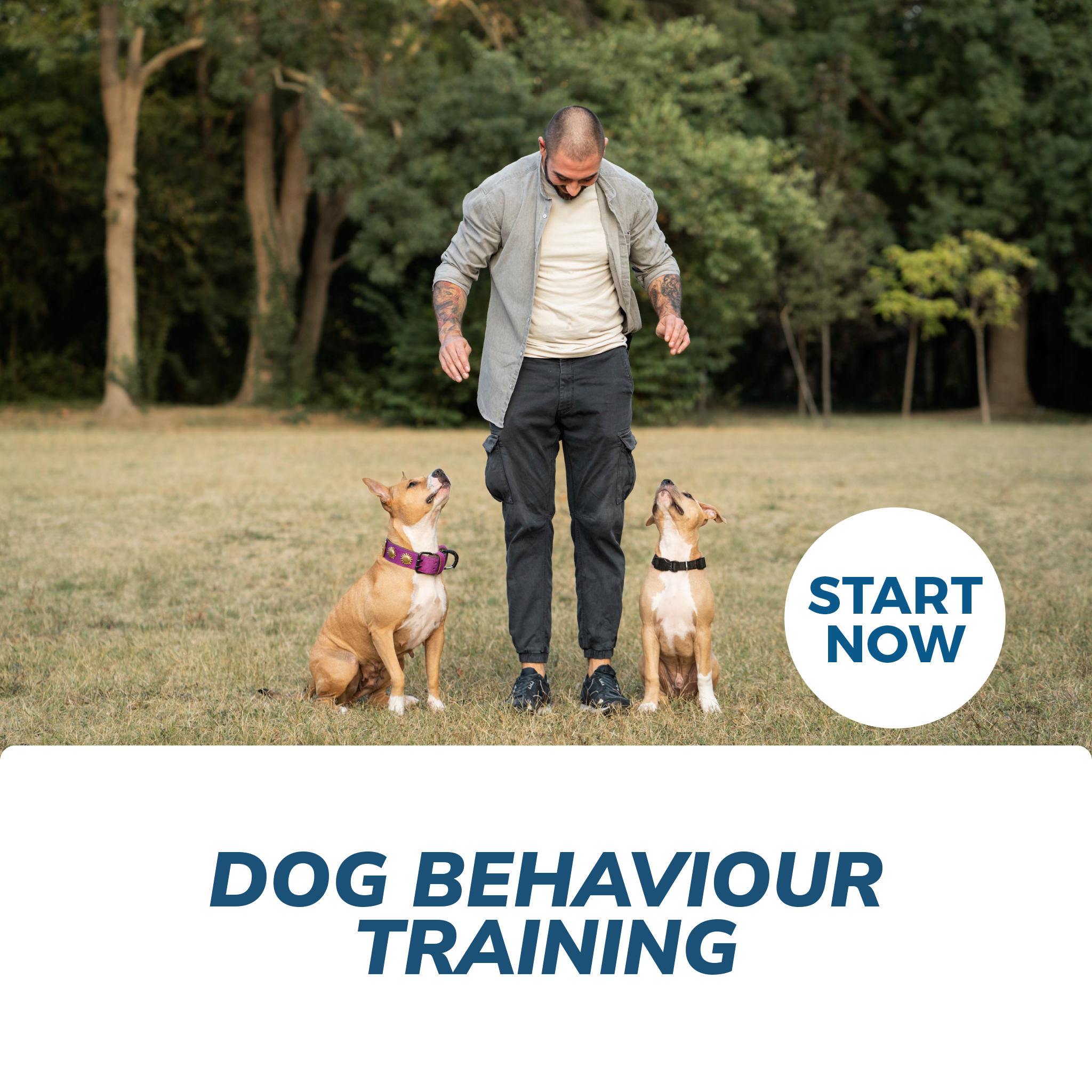 Image of Dog Behaviour Training Certificate Course