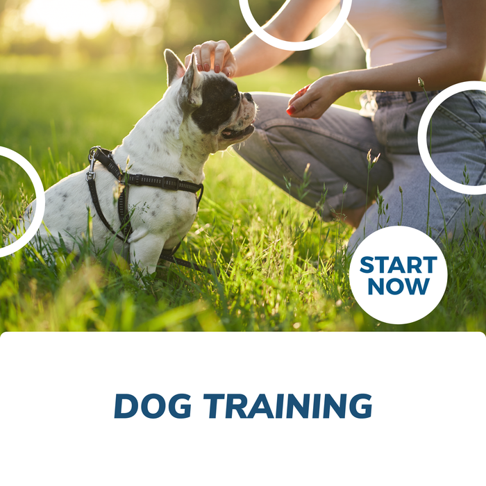 how long does it take to get a dog training certificate