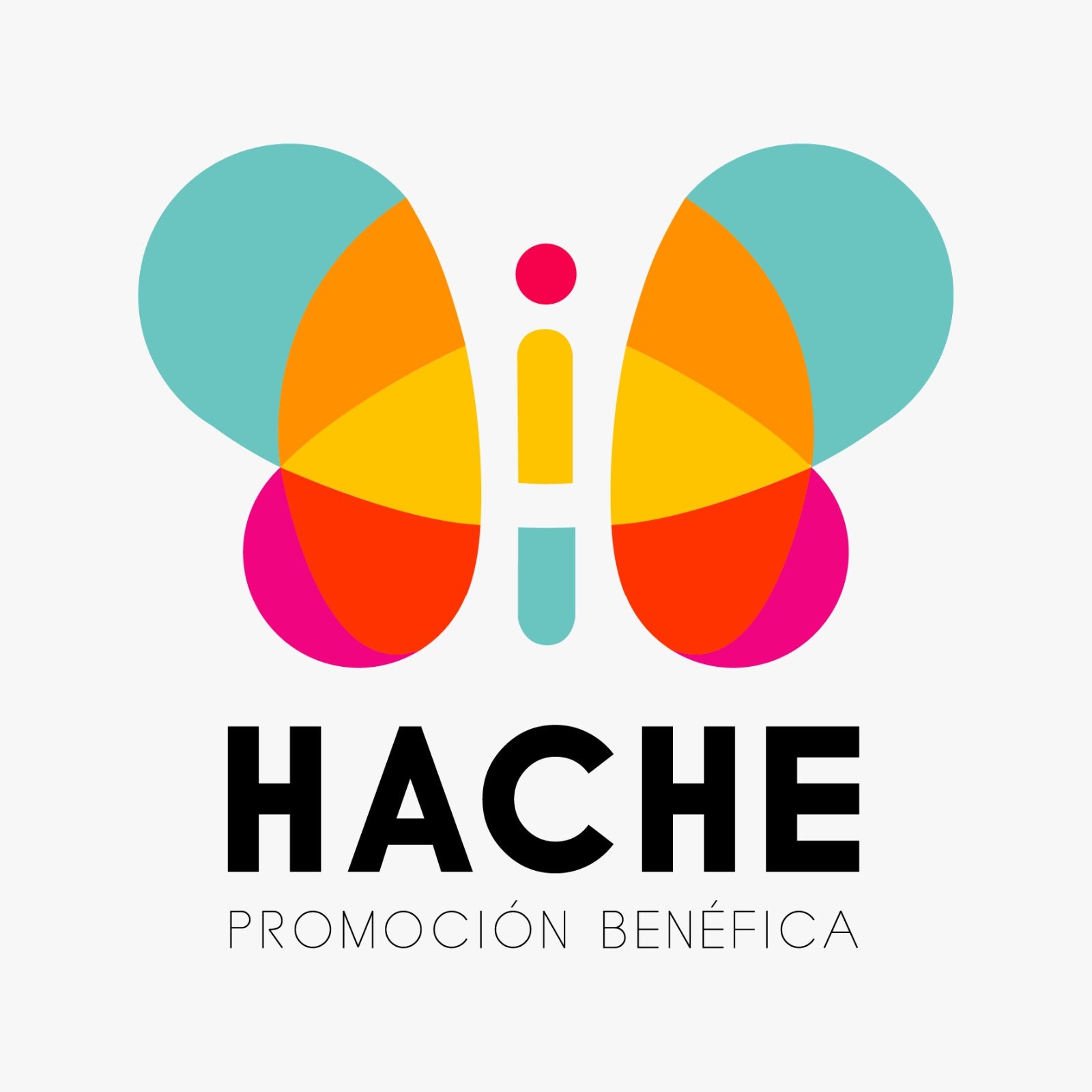 LOGO HACHE