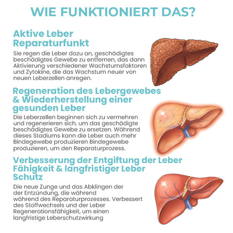 Fivfivgo™ DetoxiSense Kräuter-Nasenbeleber