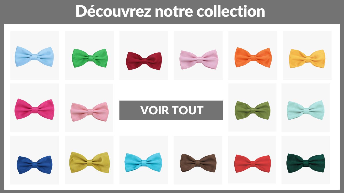collection noeud papillon