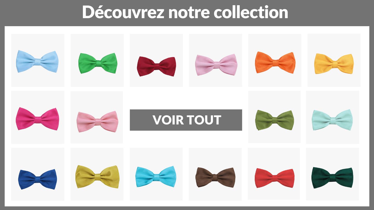 Collection noeud papillon