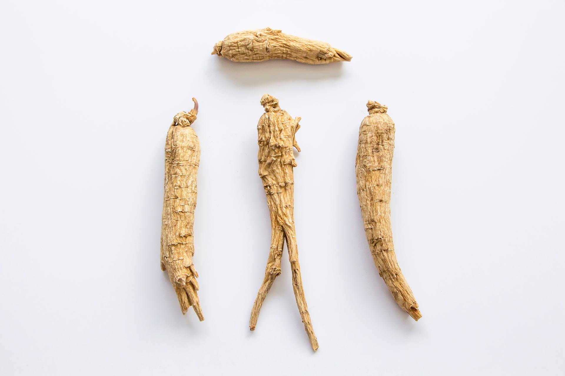 Pieces of raw American ginseng