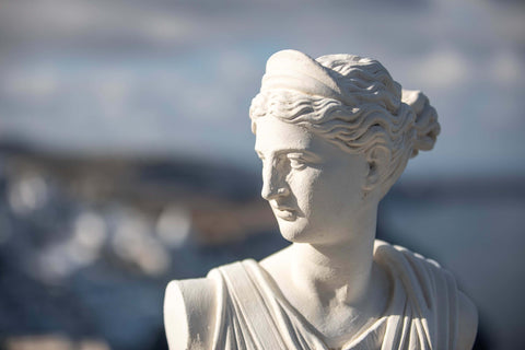 Beautiful photo of a bust of the Greek Goddess Athena representing the Dark Academia Aesthetic