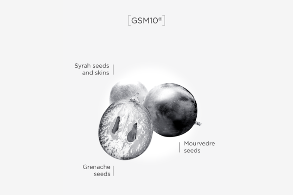 Illustration of grape varieties with labeled seeds and skins.