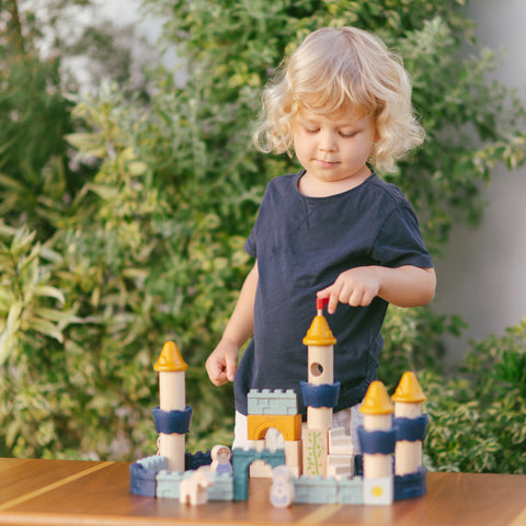 PlanToys Castle Blocks