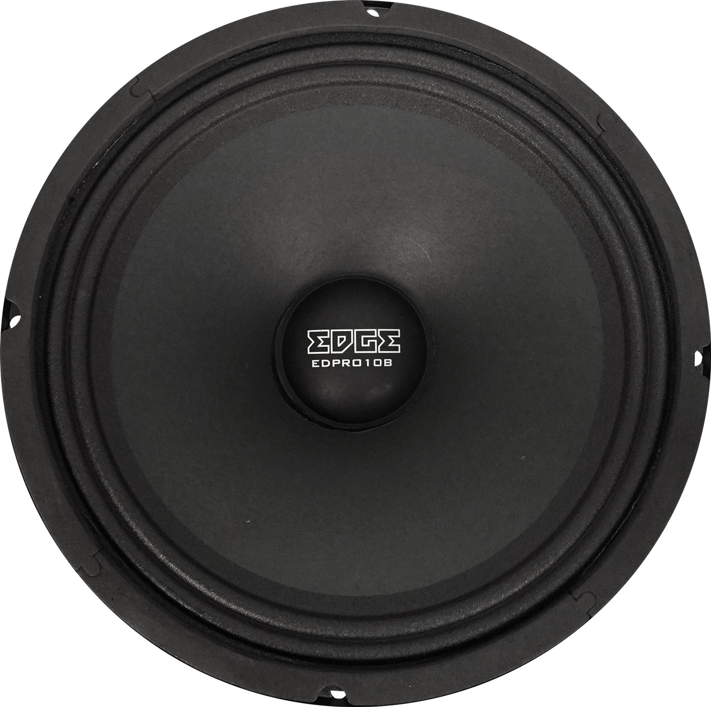 speaker 10 inch midrange