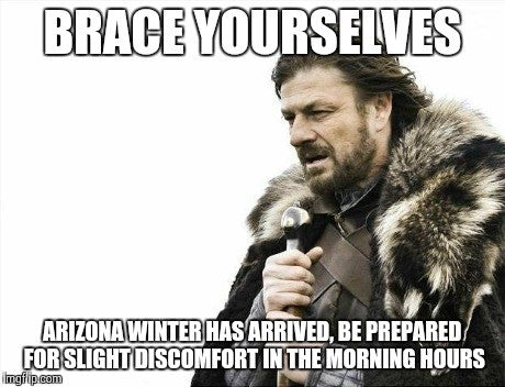 Michigan Winter Arizona Winter Brace Yourself