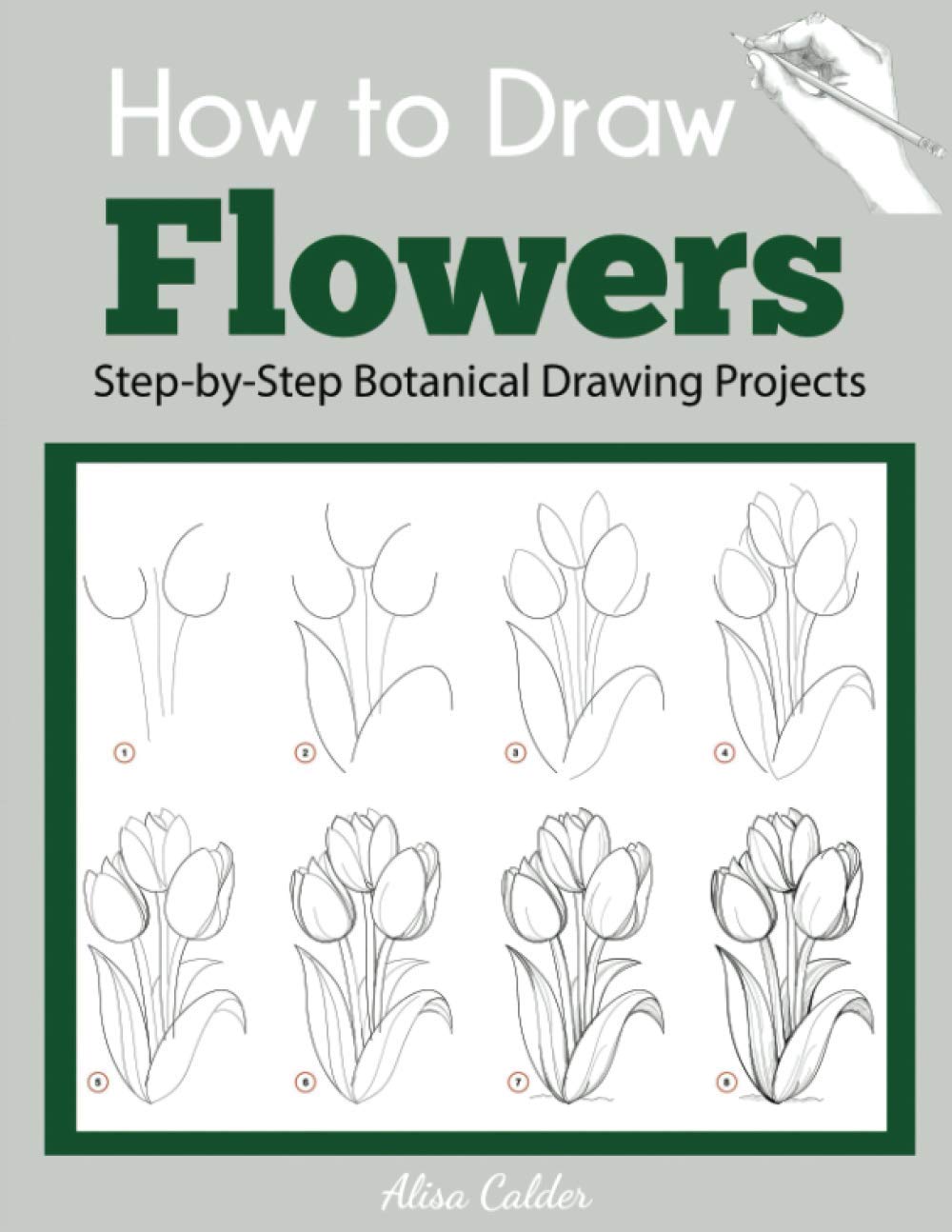 How to Draw Flowers - Step by Step Botanical Drawing Projects