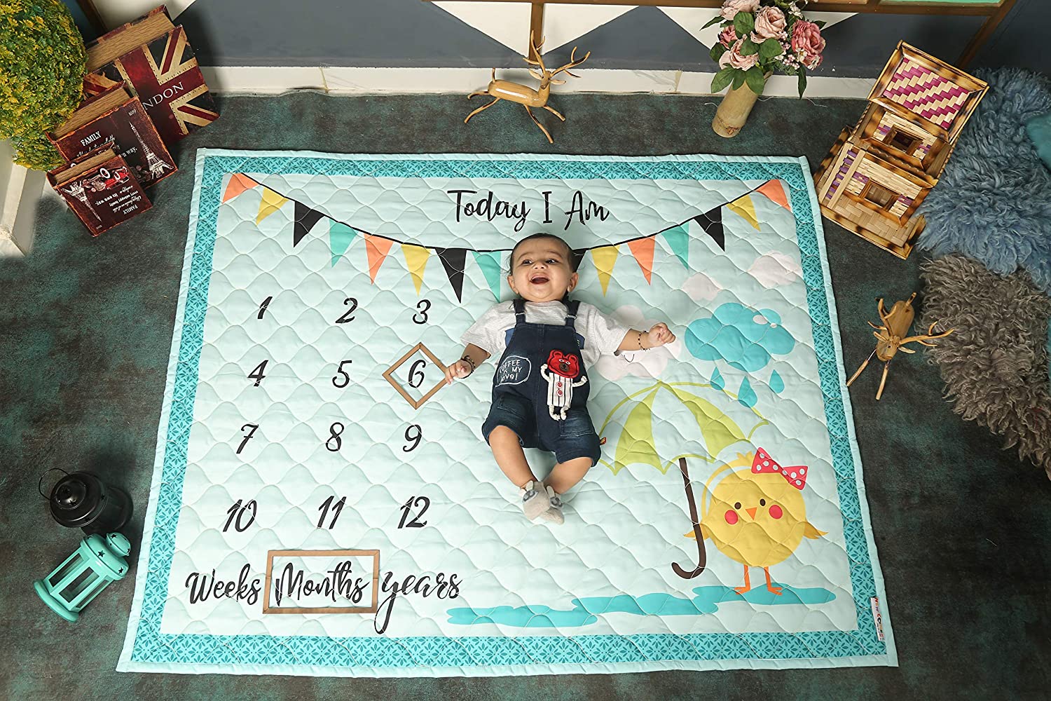 New Comers Milestone Blanket and Props