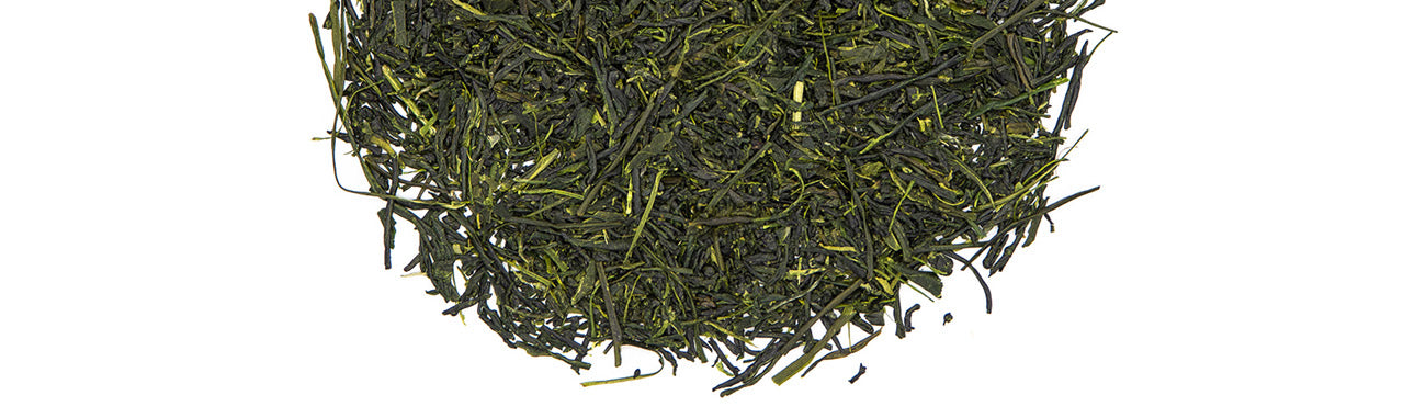 Sencha green tea leaves from Japan