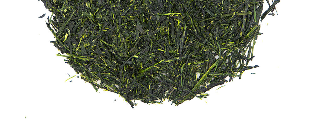 Sencha green tea leaves from Japan