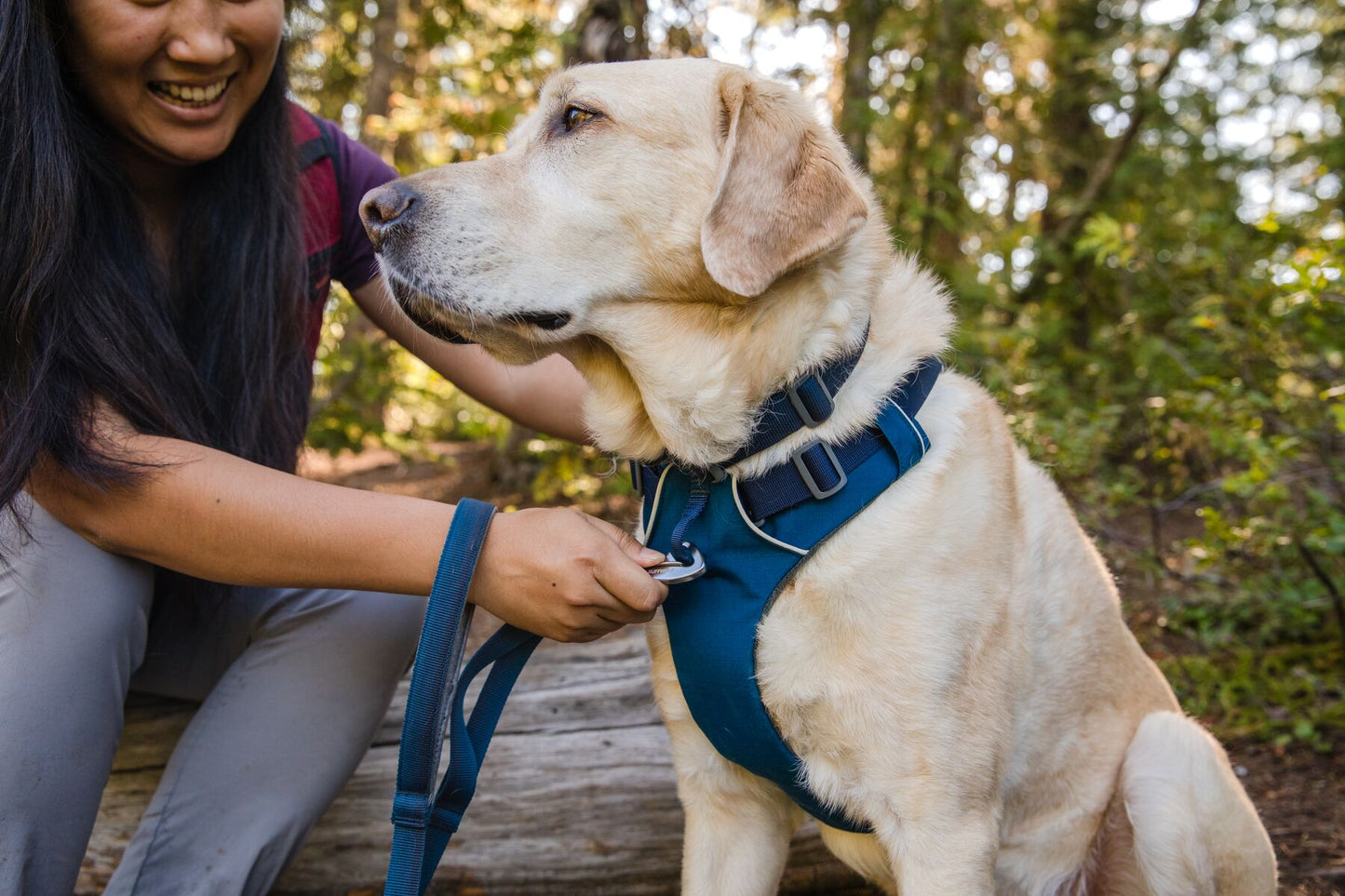 front range leash ruffwear