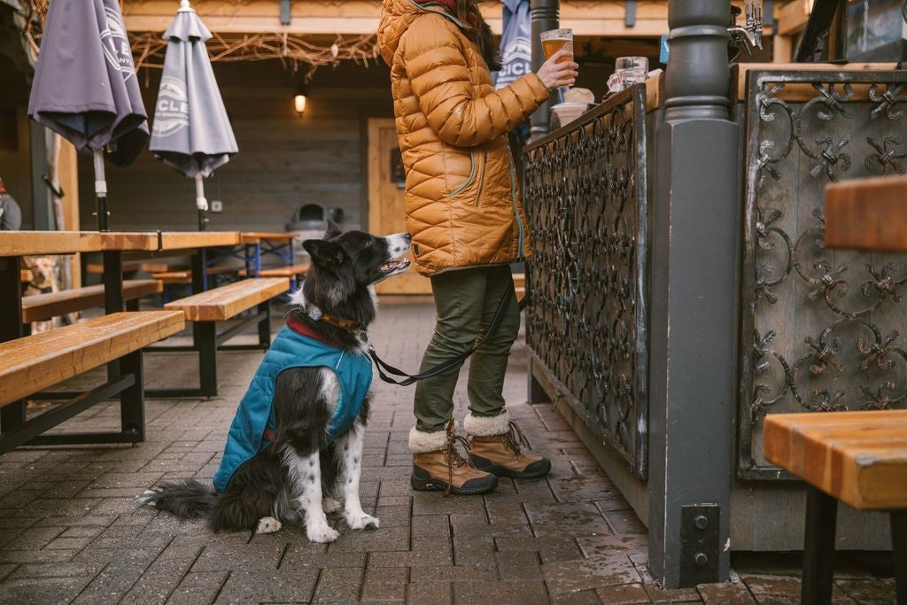 stumptown dog jacket