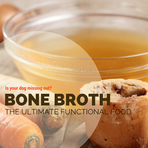 Bone Broth, the ultimate functional food. Is your dog missing out?