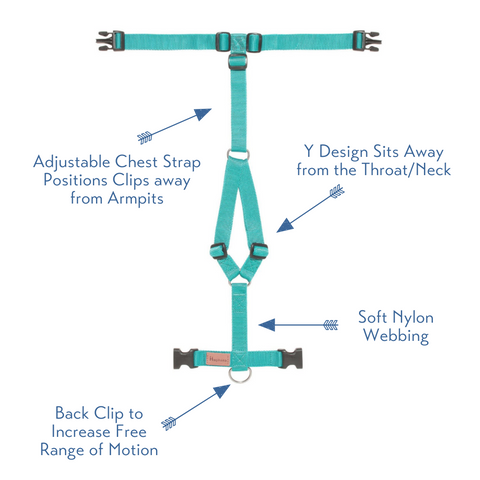 harness details