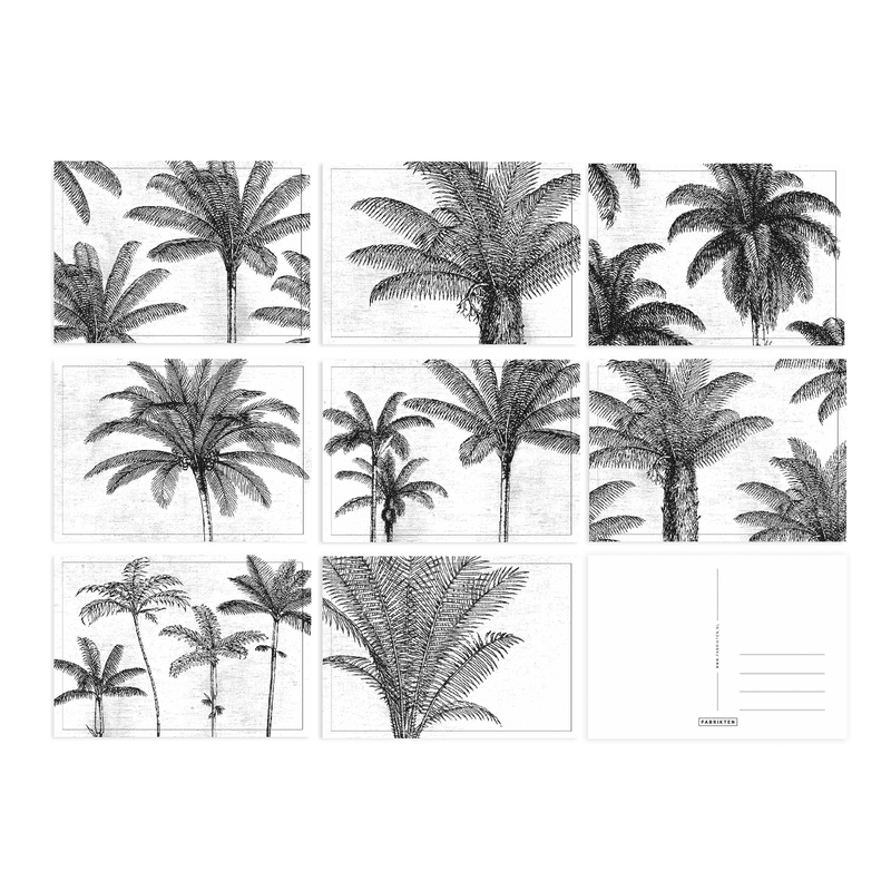 Kaartenset Palmbomen A6 - 8 Stuks