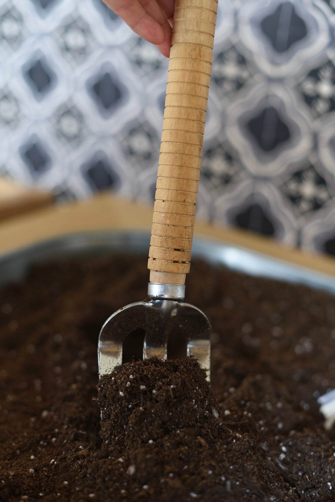 Planter dans notre jardinière coquo en chêne naturel. Parfait pour l'intérieur et extérieur. 