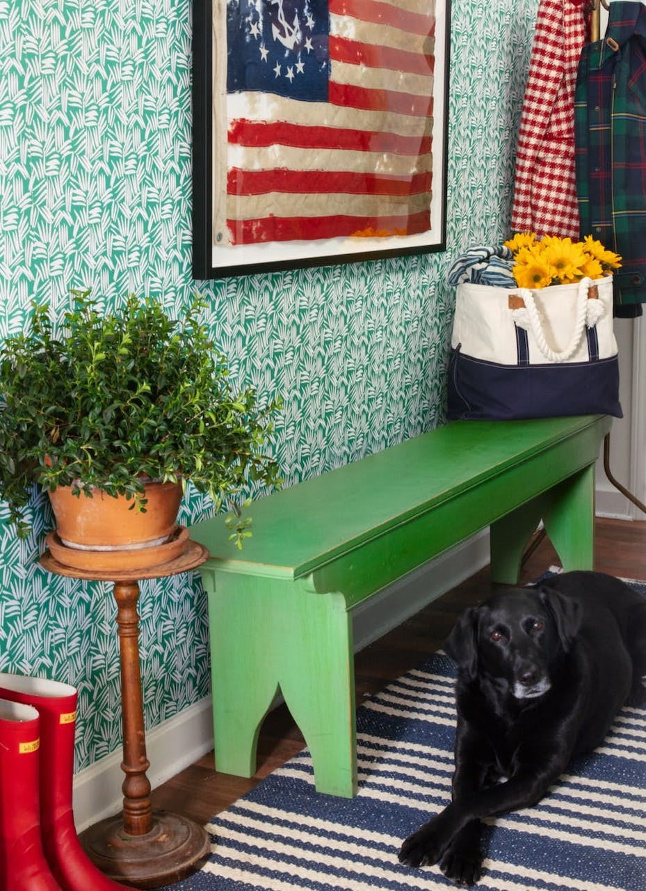 Colorfl home entry, with a green bench and black dog. 