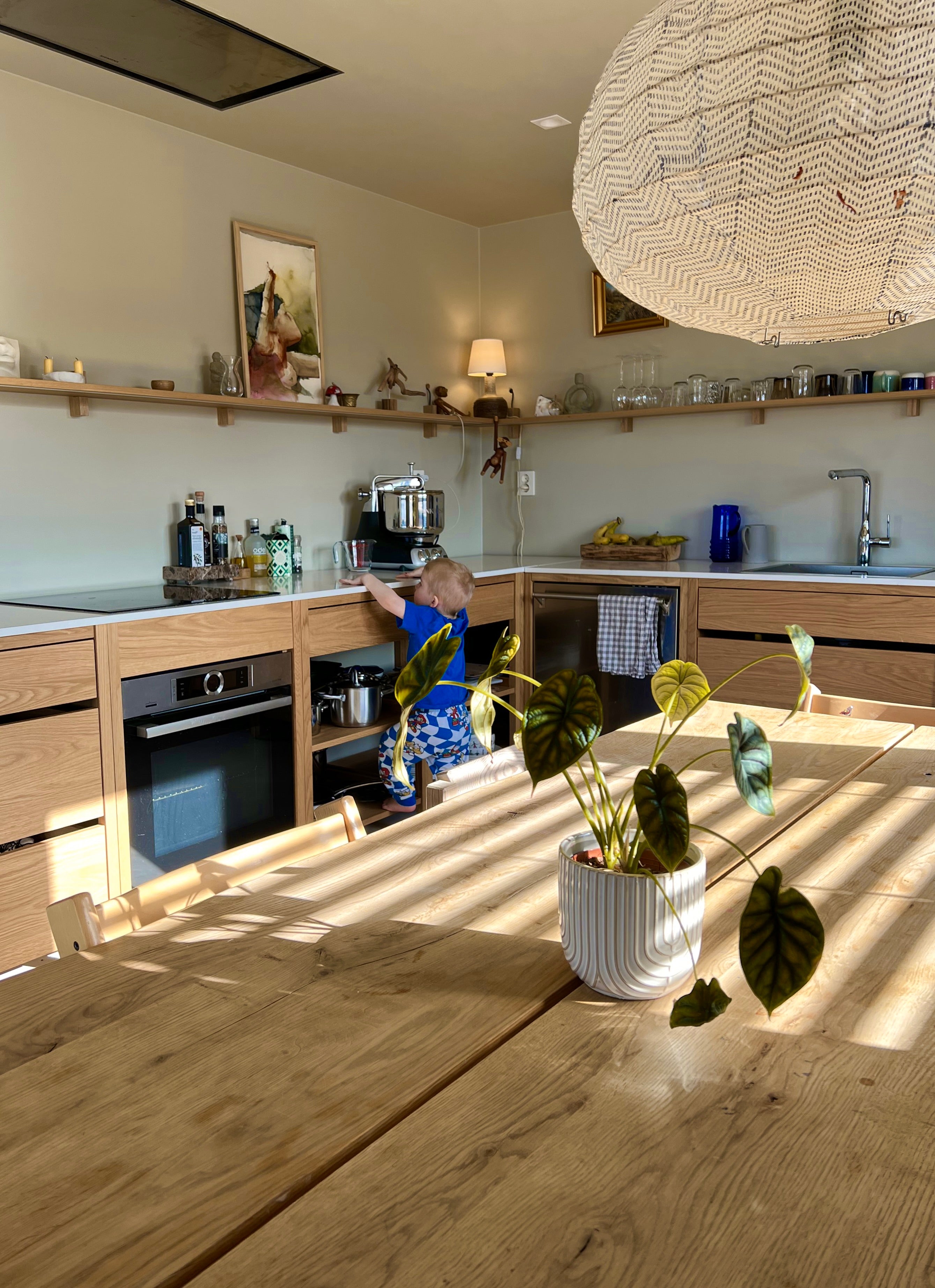 Natural Oak Modular Coquo Kitchen: A perfect blend of functionality and warmth.